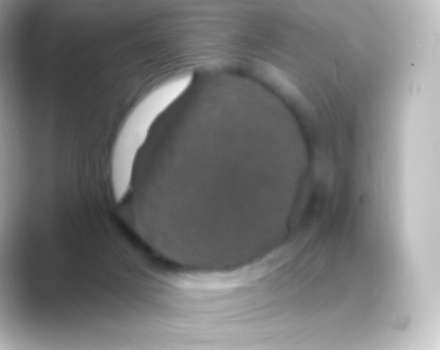 X0000088690025200706211935