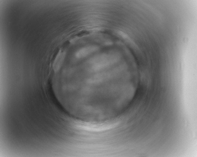 X0000088690026200706211935