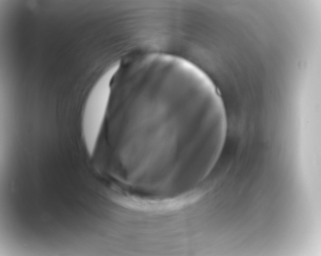 X0000088690027200706211935