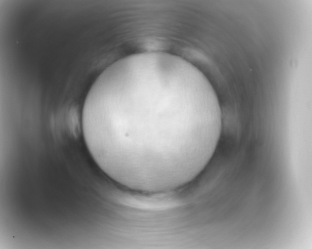X0000088690028200706211935