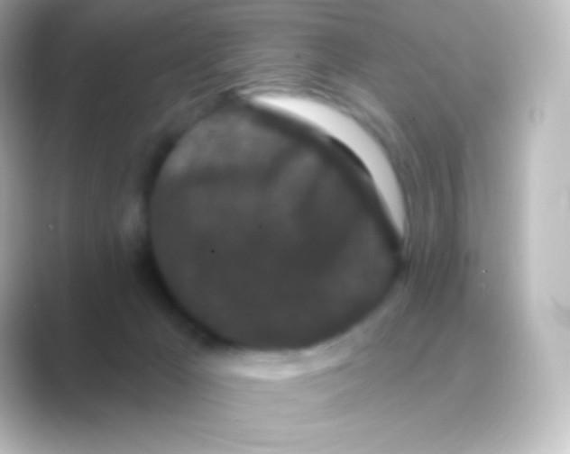 X0000088690029200706211935