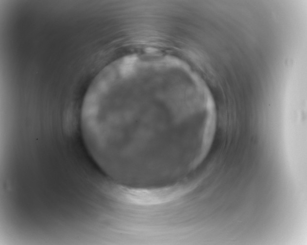 X0000088690030200706211935