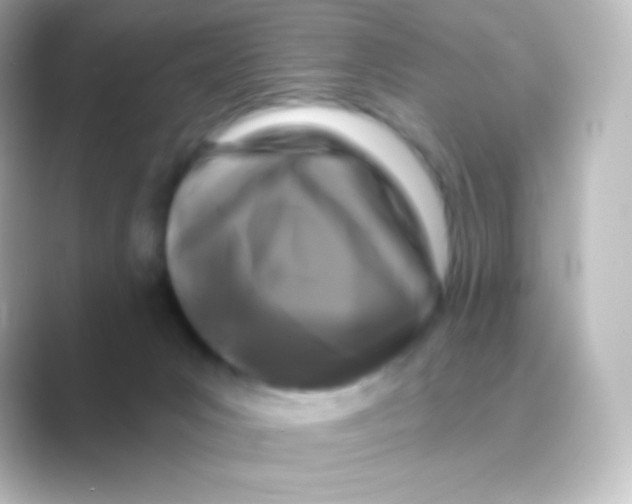 X0000088690031200706211935