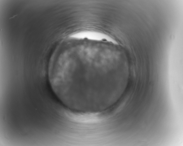 X0000088690032200706211935