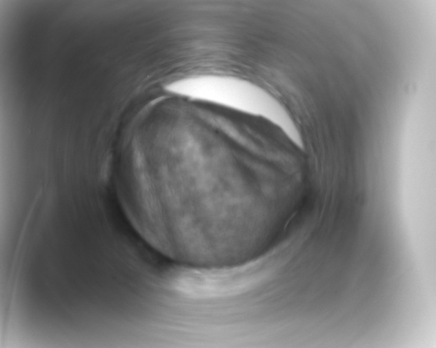 X0000088690033200706211935