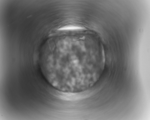 X0000088690034200706211934