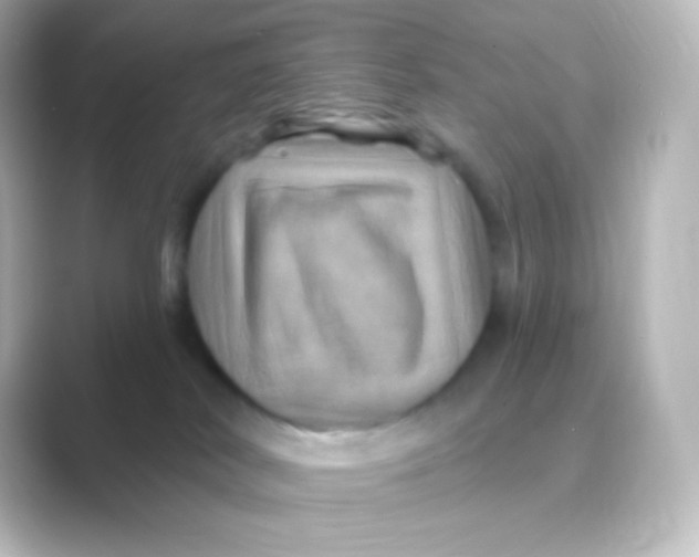 X0000088690038200706211934