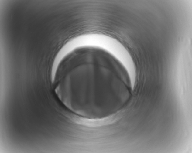 X0000088690039200706211934