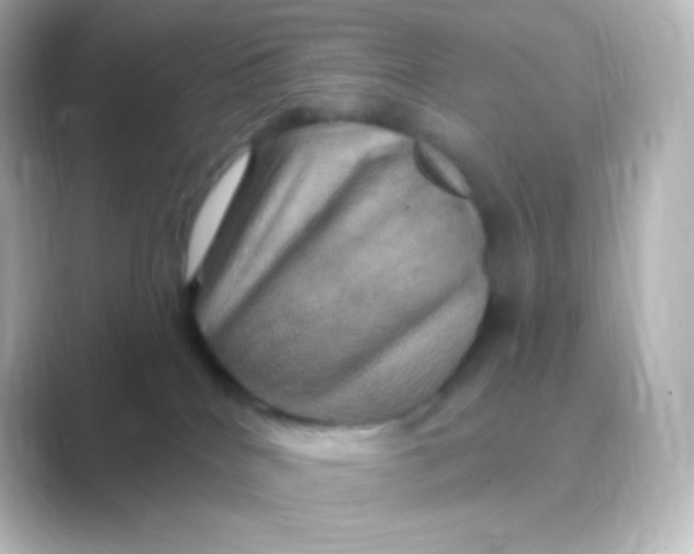 X0000088690040200706211934