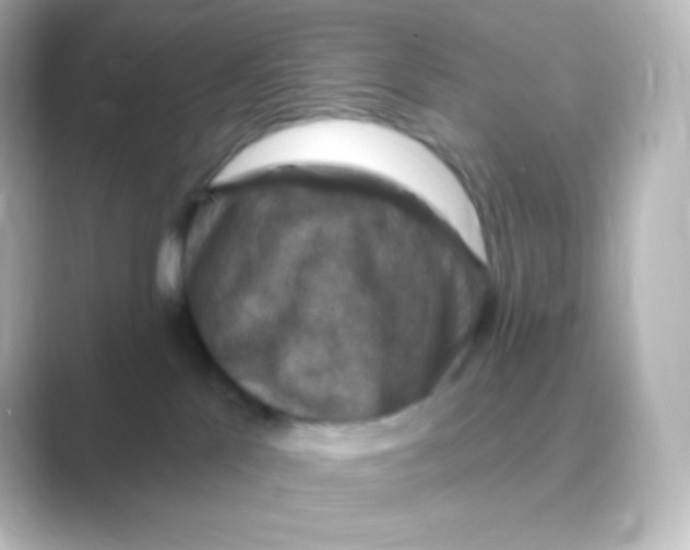 X0000088690041200706211934