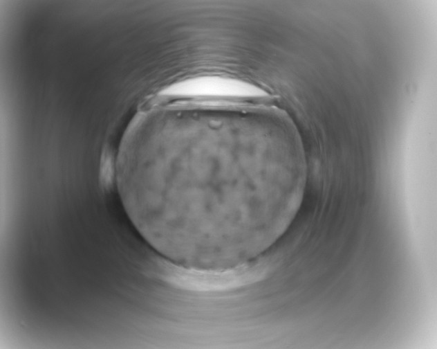 X0000088690042200706211934