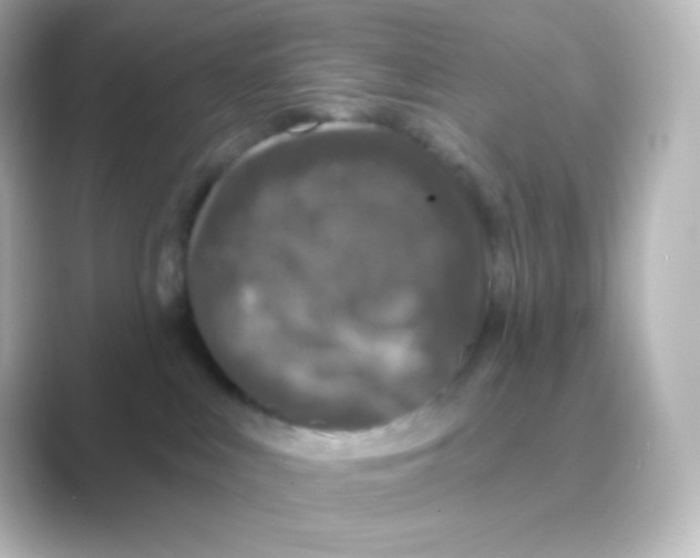 X0000088690043200706211934