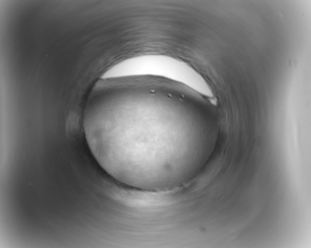 X0000088690044200706211934