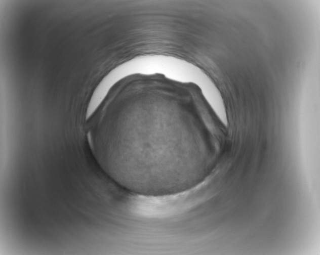 X0000088690045200706211934