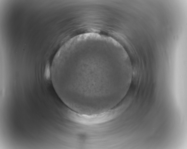 X0000088690046200706211934