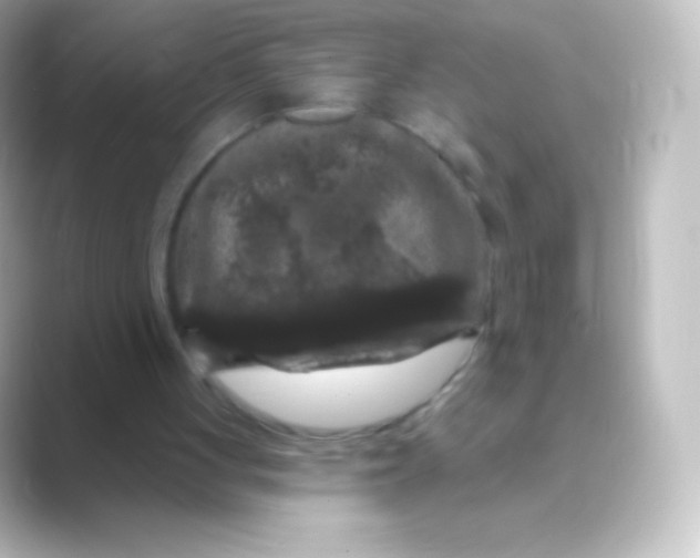 X0000088690051200706211934