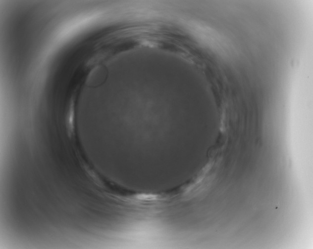 X0000088690052200706211934