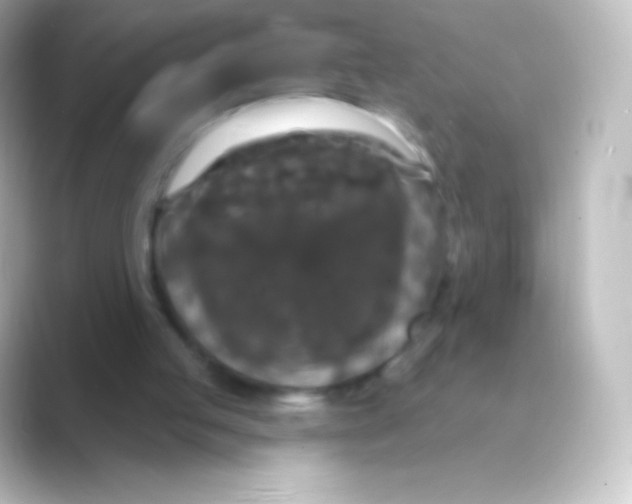 X0000088690053200706211934