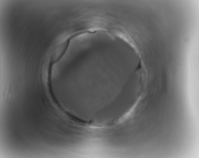 X0000088690055200706211934