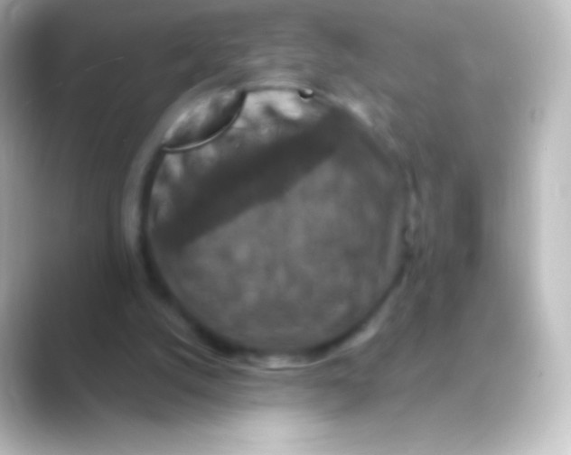 X0000088690056200706211934
