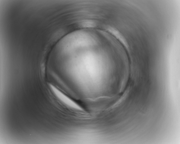 X0000088690057200706211934