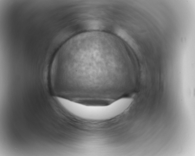 X0000088690058200706211934