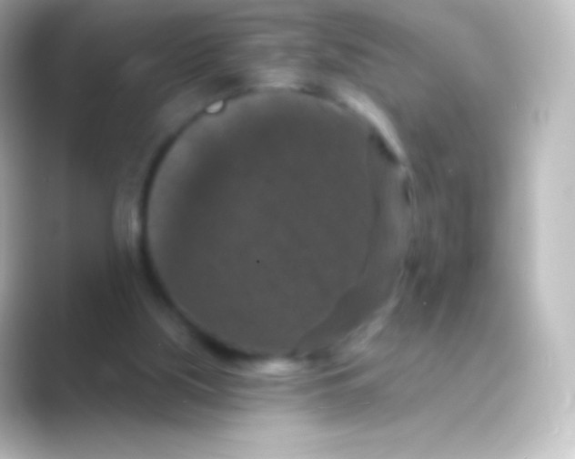 X0000088690059200706211934