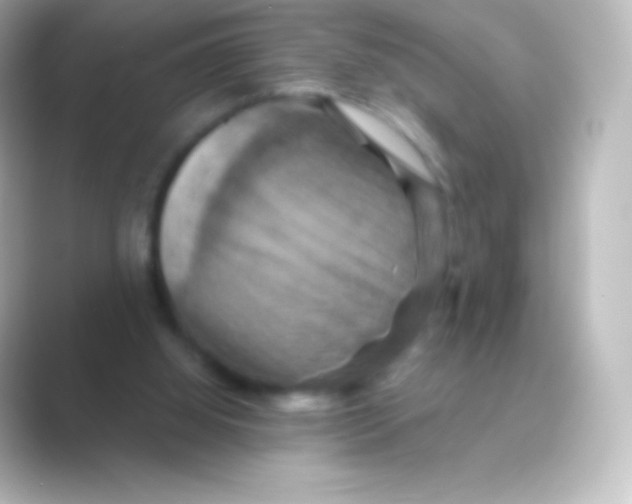 X0000088690060200706211934