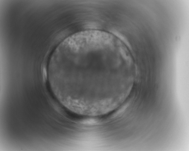 X0000088690061200706211934
