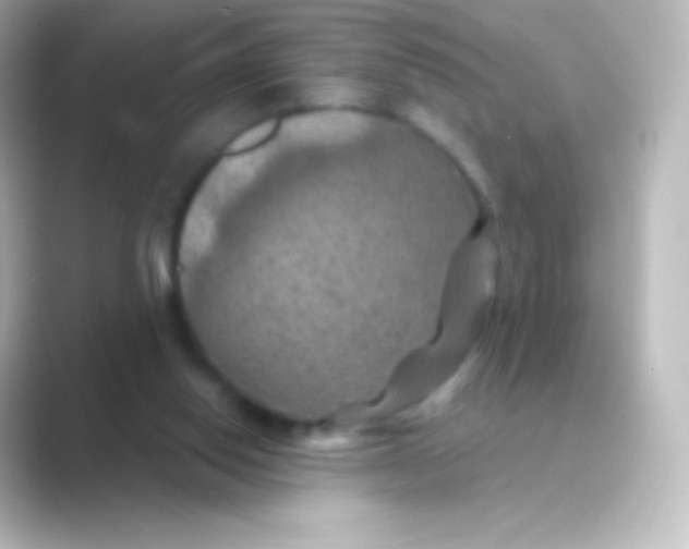 X0000088690062200706211934