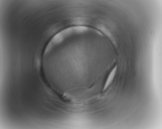 X0000088690063200706211934