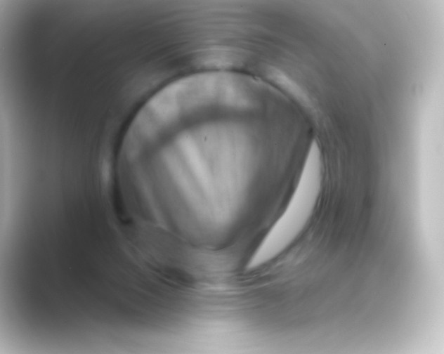 X0000088690064200706211934