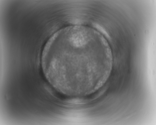 X0000088690065200706211934