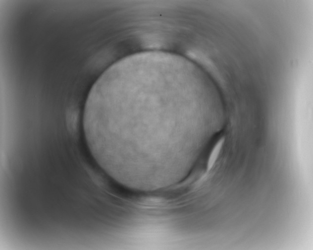 X0000088690066200706211934