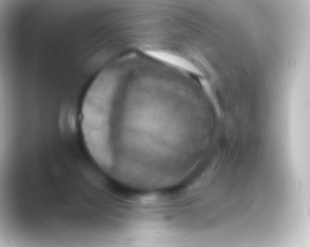 X0000088690068200706211934