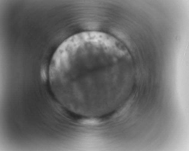 X0000088690069200706211934