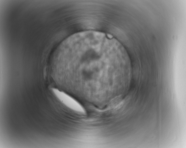 X0000088690070200706211934