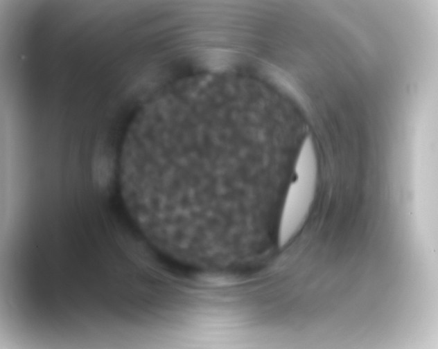 X0000088690073200706211934