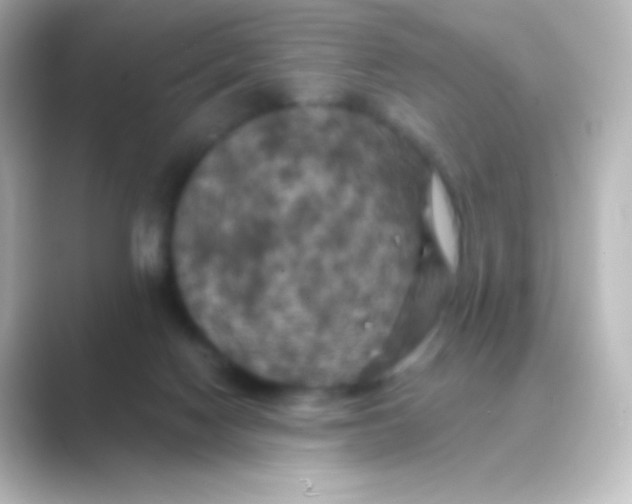 X0000088690074200706211934