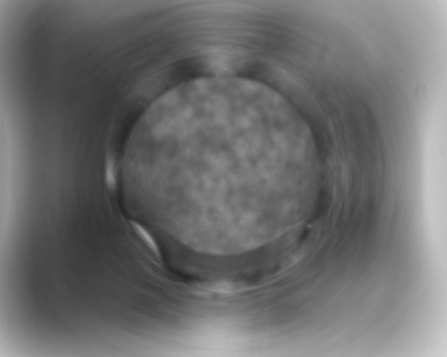 X0000088690075200706211934