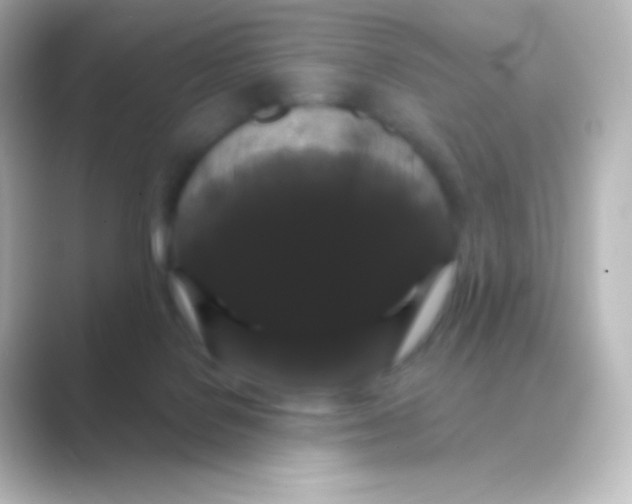 X0000088690076200706211934