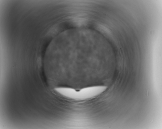 X0000088690077200706211934