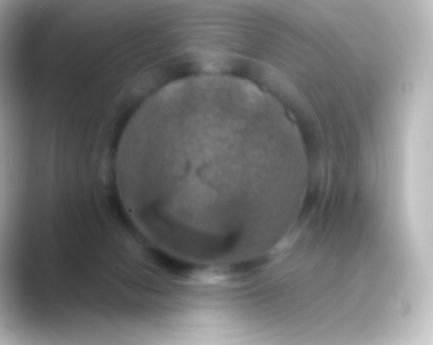 X0000088690078200706211934