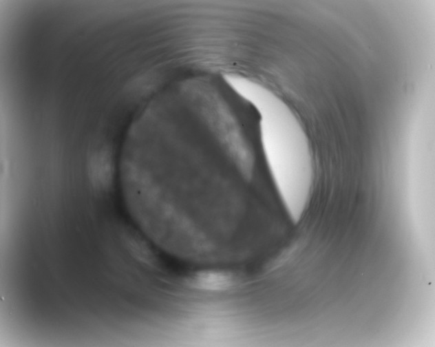 X0000088690080200706211934
