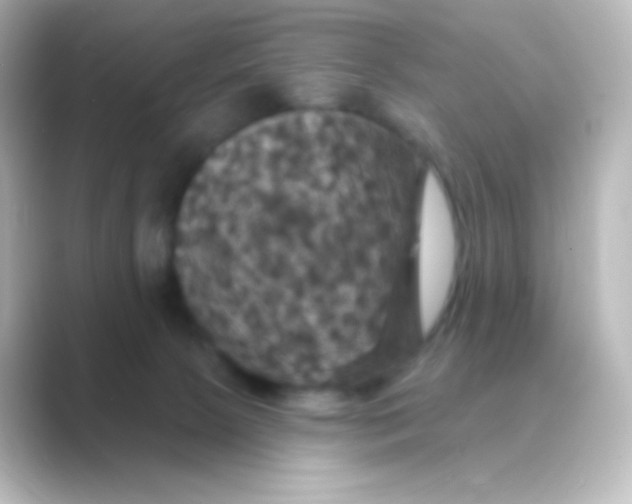 X0000088690081200706211934