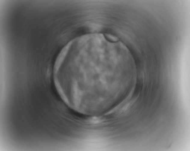 X0000088690082200706211934