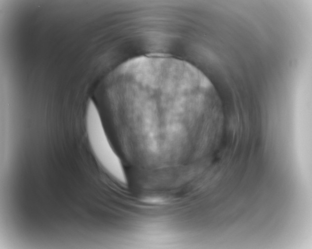 X0000088690084200706211934
