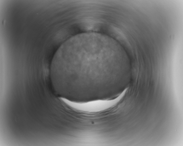 X0000088690085200706211934