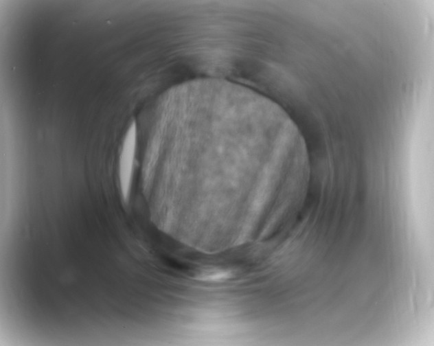 X0000088690088200706211934
