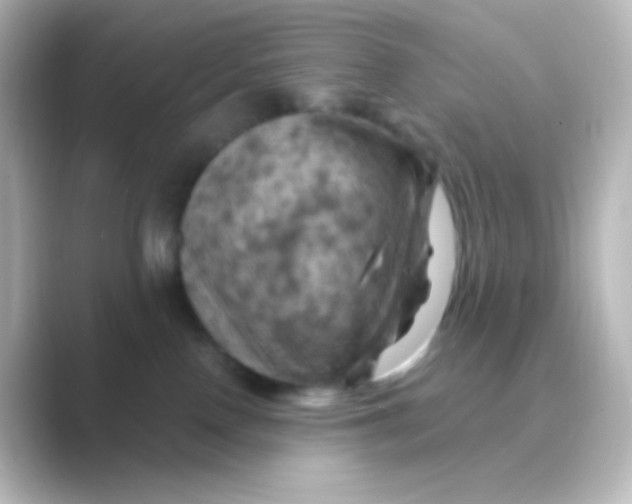 X0000088690090200706211934